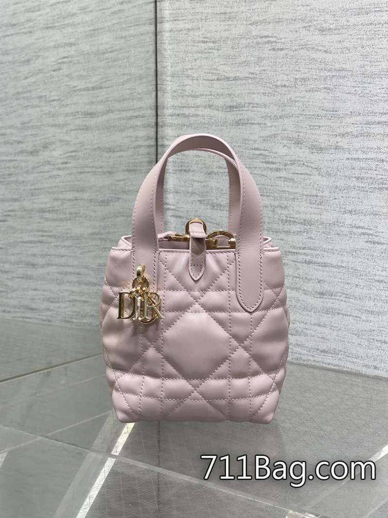 頂級A貨Dior Toujours豎版系列迷你 邊線無重縫 Dior爆款同款 頂級A貨Dior Toujours豎版系列迷你 邊線無重縫 Dior爆款同款