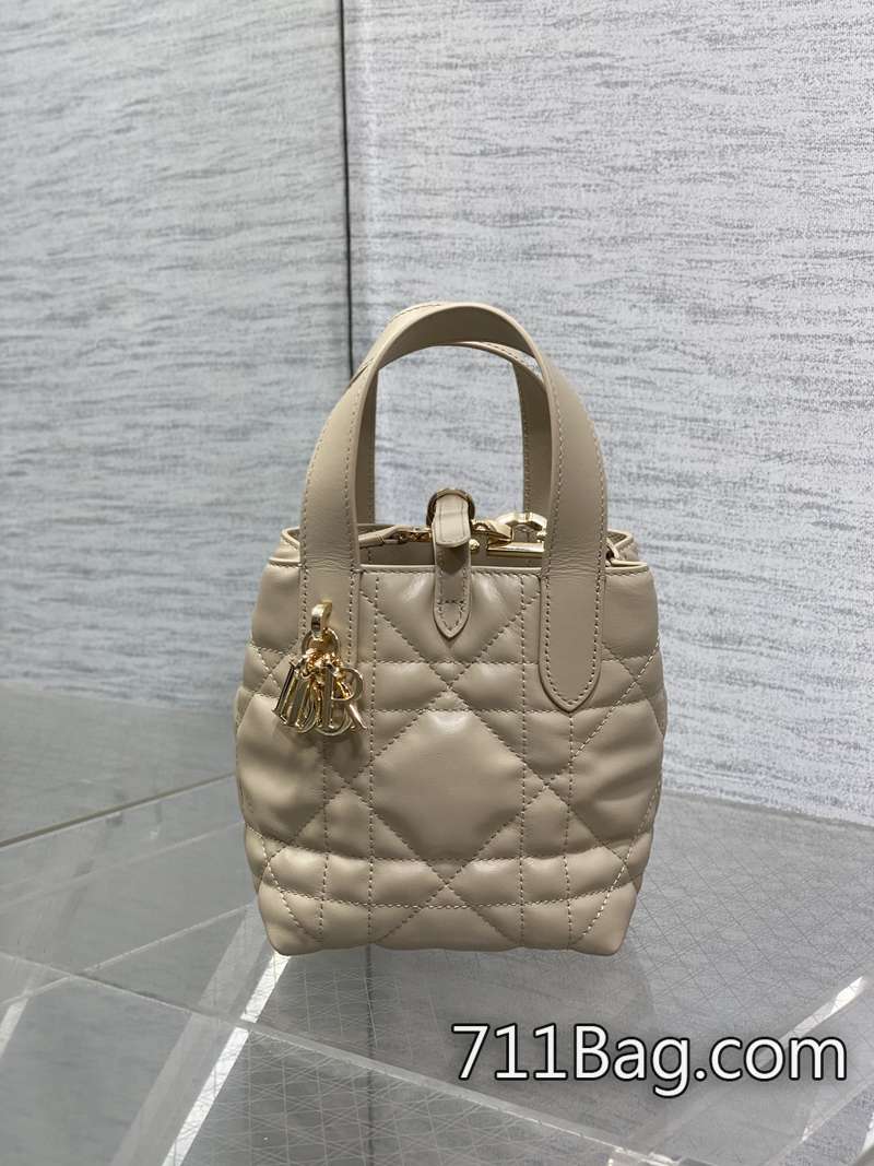 精品高仿Dior Toujours豎版系列迷你 色差控制在1%以內 Dior淘寶同款 精品高仿Dior Toujours豎版系列迷你 色差控制在1%以內 Dior淘寶同款